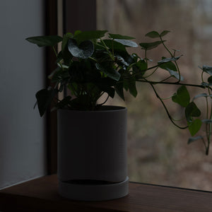 バスタイムでも楽しめるプランター（3号鉢）