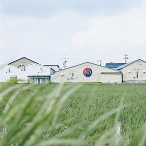 オーガニックで柔らかなスーピマコットンのバスタオル